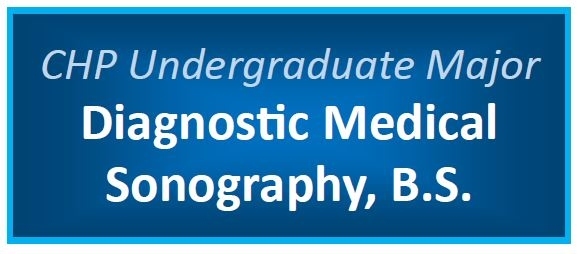 Diagnostic Medical Sonography Undergraduate Major